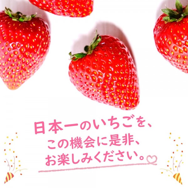 株式会社ベリーズバトン